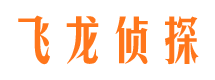 泰山飞龙私家侦探公司